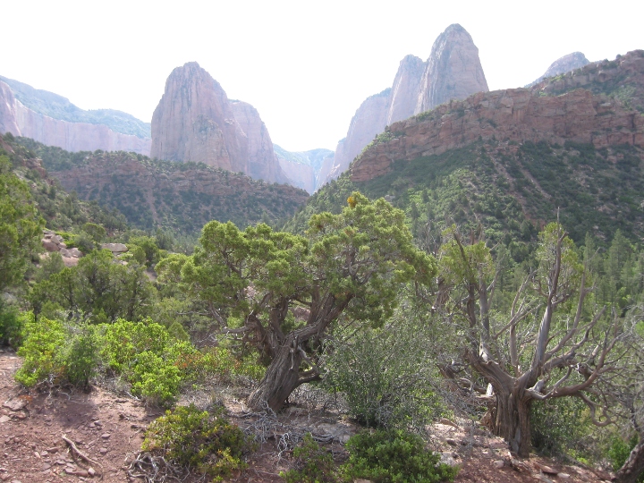 Zion National Park